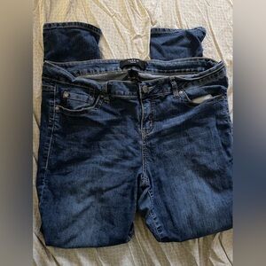 Torrid Jeans